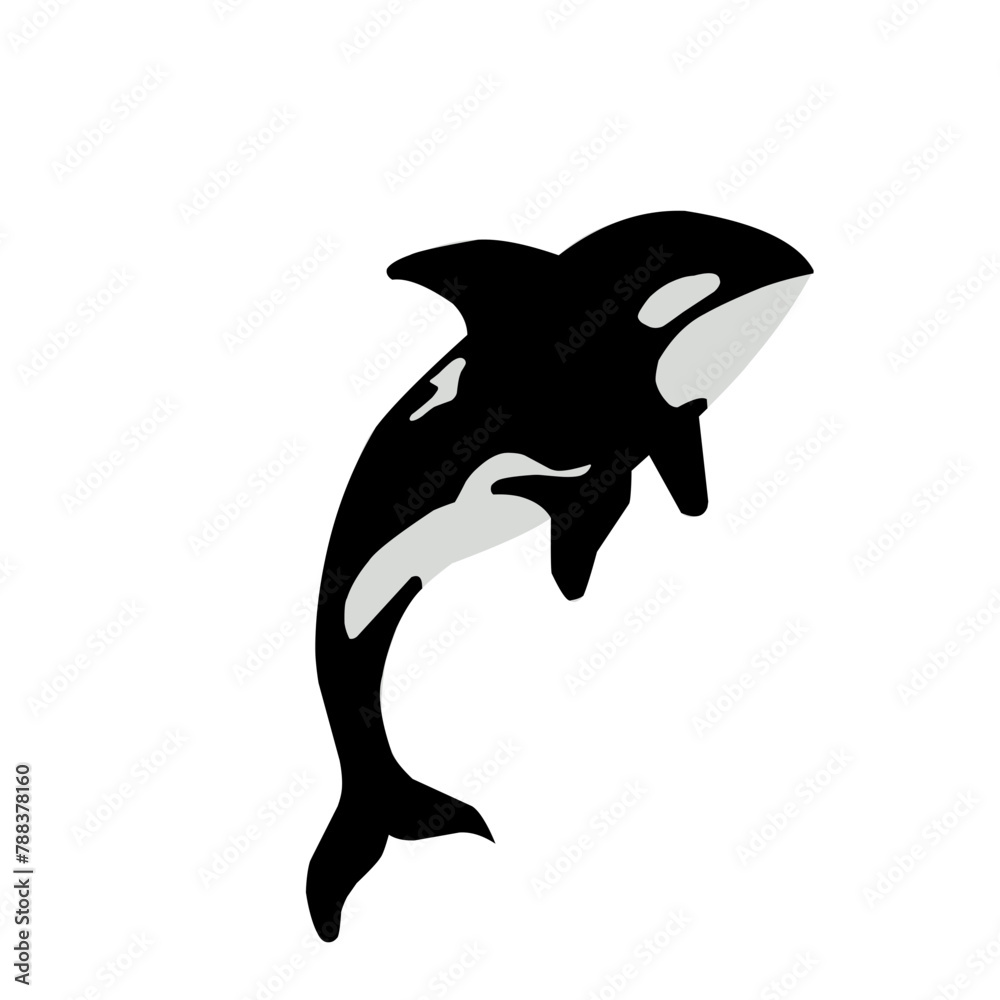 Canvas Prints orca whale vector illustration