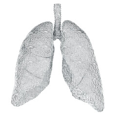 Human lungs wrapped in foil, 3D rendering isolated on transparent background