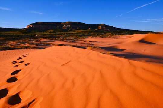 Coral Pink Sand Dunes State Park - it features uniquely pink-hued sand dunes located beside red sandstone cliffs (between Mount Carmel Junction and Kanab, southwestern Utah, United States)