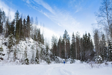 Obraz na płótnie Canvas Winter landscape with snow and fir tree