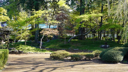 喜多院　日本庭園