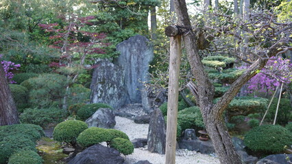 喜多院　日本庭園