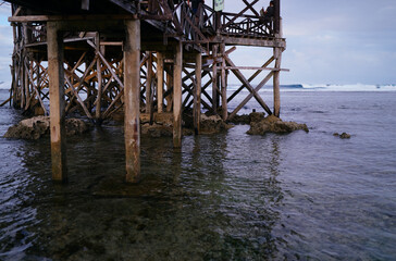 Wooden stilts of a bridge in the sea lagoon.