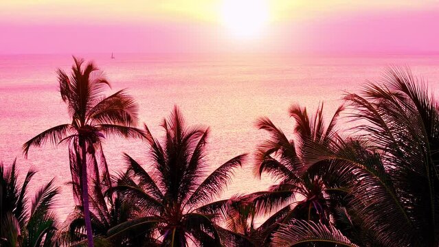 Exotic beach with palm trees of tropical island at sunset. Landscape with sunset sky over ocean sea as water wave in the island. 