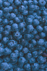 Fresh blueberry background. Texture blueberry berries close up.