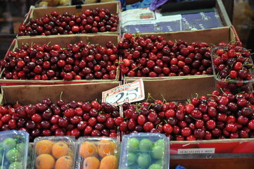 [Retro] Turkish Cherry