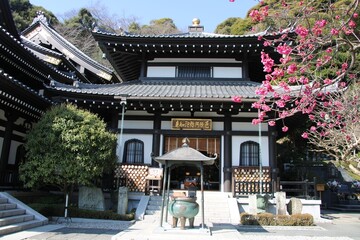  Buddhist Hase-kannon temple upper main square with main temple in Kamakura, Japan in March