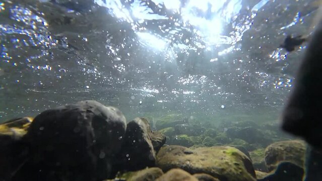Unterwasservideo von einem Bach mit Steinen und Luftblasen im fließenden Wasser in Zeitlupe
