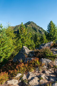 Otrhance mountain ridge with Nizna Magura and Ostredok  from Nizny Ostredok hill on Otrhance mountain ridge in Western Tatras mountains in Slovakia