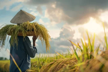 Foto op Canvas Person Walking Through paddy Field With Hat © LMNZR
