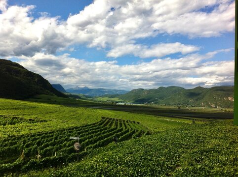 Colline coltivate a vite a Termeno