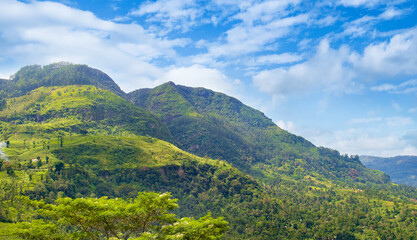 Fototapeta na wymiar Mountains, tropical vegetation and bright sky. Sri Lanka.