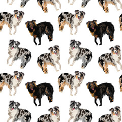 Australian Shepherd dog square pattern, repeatable background, tile.Seamless pattern with dogs. Australian Shepherd Color Patterns, several types, on a whit background. Gift wrapping design. Dog fans.