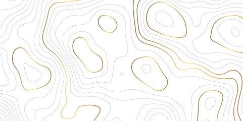 Abstract wavy luxury gold lines topographic map. Abstract wavy and curved lines background. Abstract geometric topographic contour map background. Vector illustration. - obrazy, fototapety, plakaty