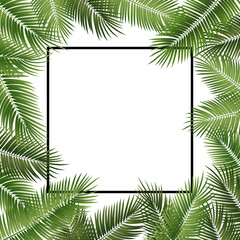 Summer poster framed with green palm leaves on transparent background..