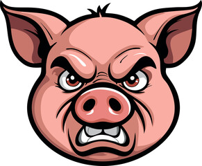 snout of an angry pig