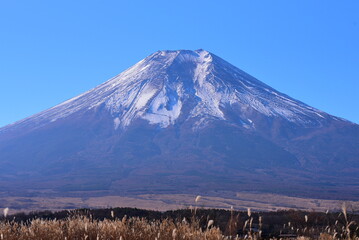 fuji mountain in winter