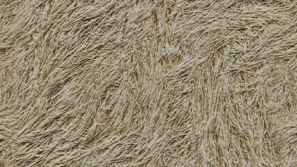 Texture material background Animal hair 1