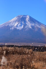 fuji mountain in season
