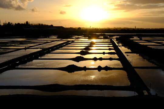 A view of the salted marshes of Guérande during the sunset. Batz-sur-mer, France - April 16, 2024.