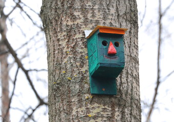An empty wooden funny green birdhouse on a tree in the garden in spring - Powered by Adobe