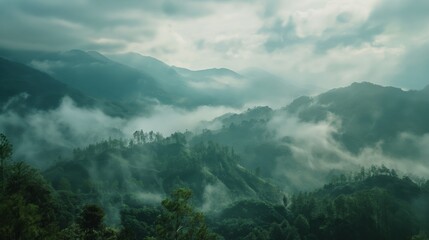 Tropical foggy forest birds eye view valley mountain range clouds and sky - Powered by Adobe