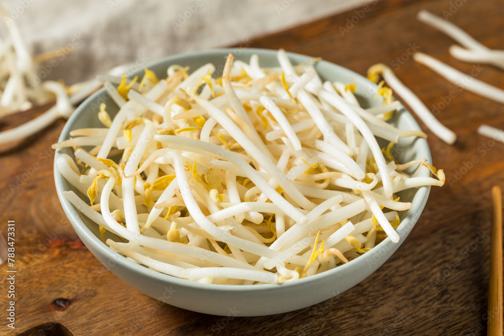 Sticker organic raw white mung bean sprouts