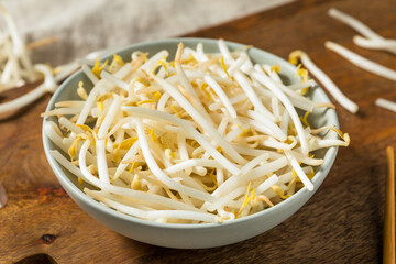 Organic Raw White Mung Bean Sprouts