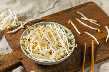 Organic Raw White Mung Bean Sprouts