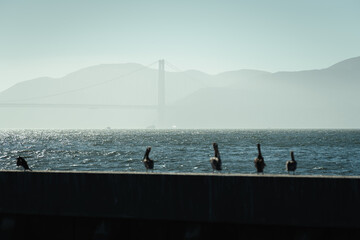 View of the Golden Gate Bridge in San Francisco during a hazy day, California - Powered by Adobe