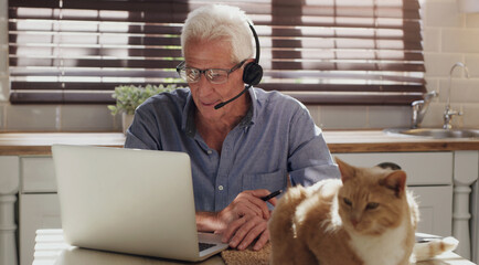 Laptop, cat and man with headset in home with customer service consultation for online crm....