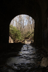 Small stream flowing through a tunnel