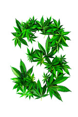 The number 3 composed entirely of marijuana leaves, isolated on a white background. Alphabet. Isolated.