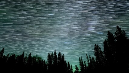 Time lapse with millions of stars moving through the night sky above a silhouette of evergreen...