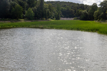 lake in the park
