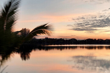 Waterlogged Thailand rice paddy & farming fields sunset, reflecting golden hues on the waterlogged rice fields. with trees and branches