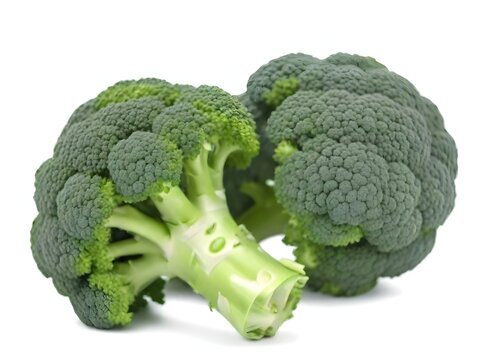 Two heads of broccoli with green florets and stalks against a white background
