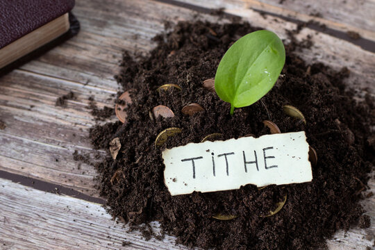 Tithe, handwritten text word on soil with coin money and green leaf plant with closed holy bible book. Top view. Selective focus. Christian donation, tithing, giving, and growth. Biblical concept.
