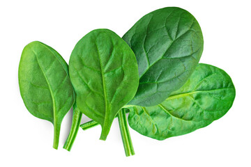 Spinach leaves isolated on white background. Various fresh green Spinach Macro. Top view. Flat lay. Package design elements. - 788491596