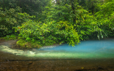 Blue river flowing through the rainforest, jungle on the banks of the Rio Celeste in Costa Rica, Landscape, Lush colors of a rainy day - 788496385