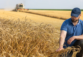 Young farmer standing on wheat field during harvest - 788496397
