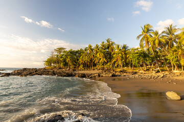Setting sun, golden hour on a tropical beach, palm trees and sea, landscape and nature
