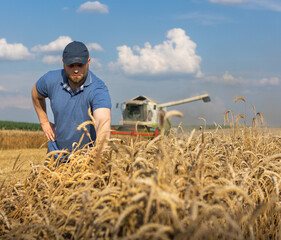 Young farmer standing on wheat field during harvest - 788496929