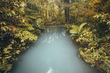 Blue river flowing through the rainforest, jungle on the banks of the Rio Celeste in Costa Rica, Landscape, Lush colors of a rainy day - 788496990