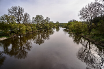 rural landscape with the Warta river and forest during spring