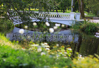 bridge in the park