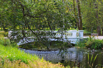 bridge in the park in summer 