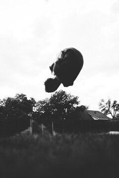 silhouette flip