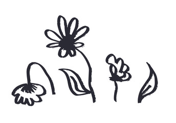 Set of ink brush abstract flower sketches isolated on white. Black silhouettes of doodle floral