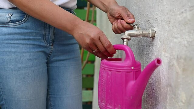 Cropped view of a gardener farmer botanist florist woman drawing water from a tap into a watering can for watering plants. Closeup florist woman in garden, filling watering can from standpipe